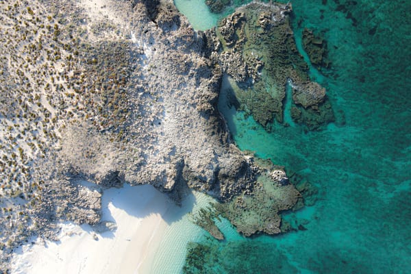 Coral Coast Cruises